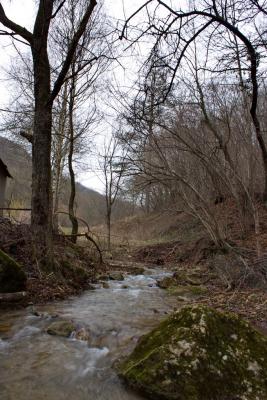 Прикрепленное изображение: 7_IMG_1844_р.jpg